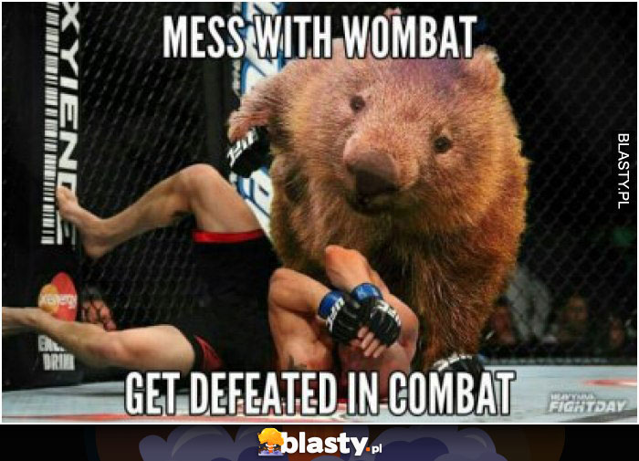 Mess with wombat