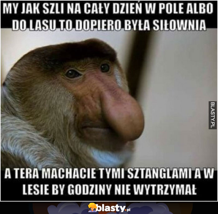 My jak szli na cały dzień w pole albo do lasu