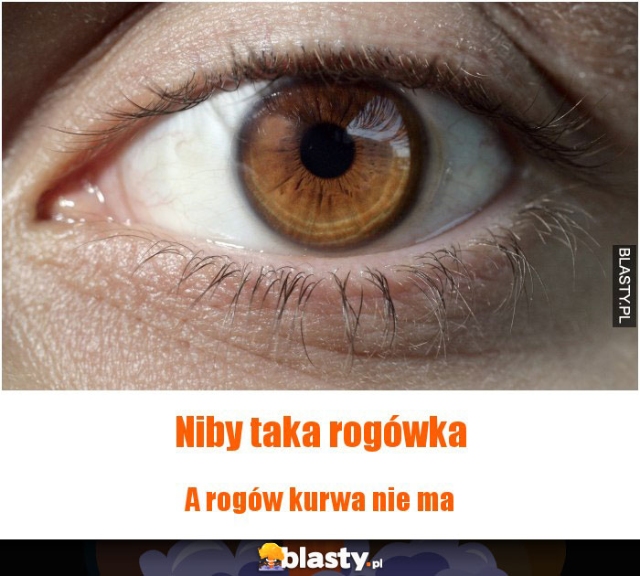 Niby taka rogówka