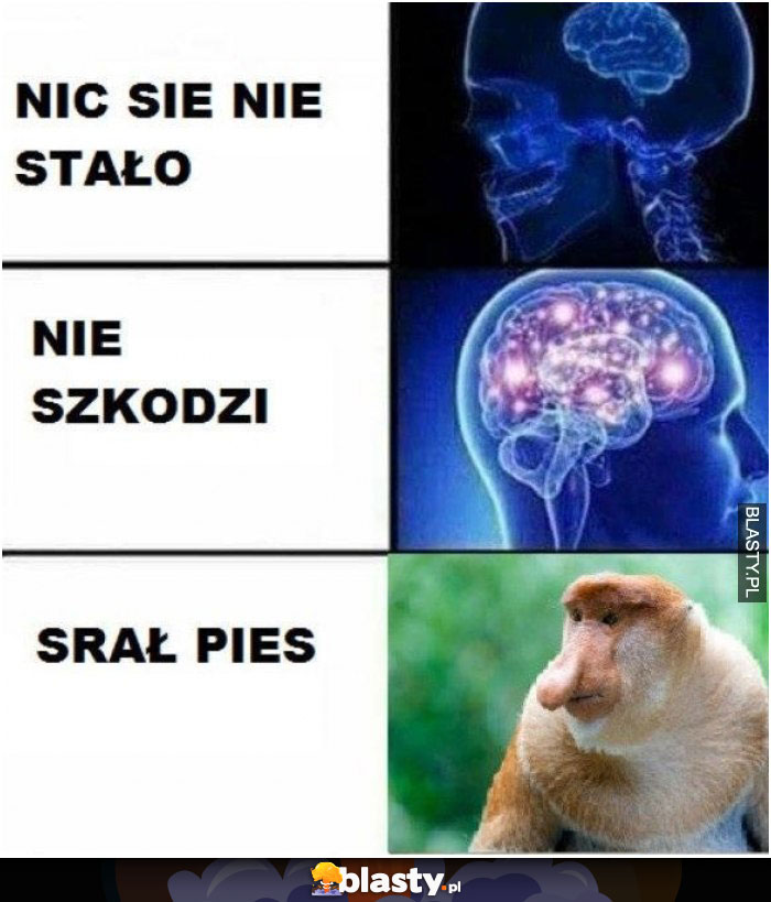 Nic się nie stało