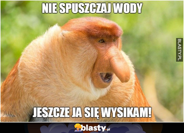 Nie spuszczaj wody, jeszcze ja się wysikam