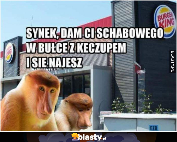 nosacz janusz dam ci schabowego nosacz janusz dam ci schabowego