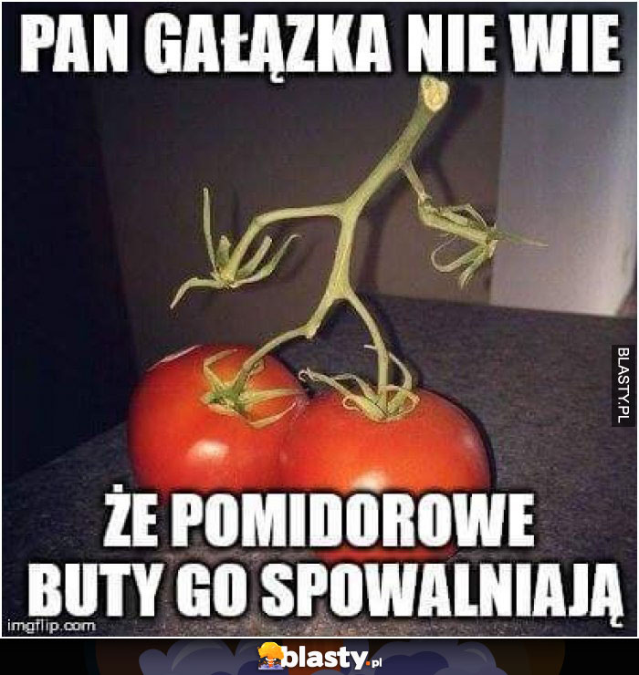 Pan gałązka nie wie, że pomidorowe buty go spowalniają