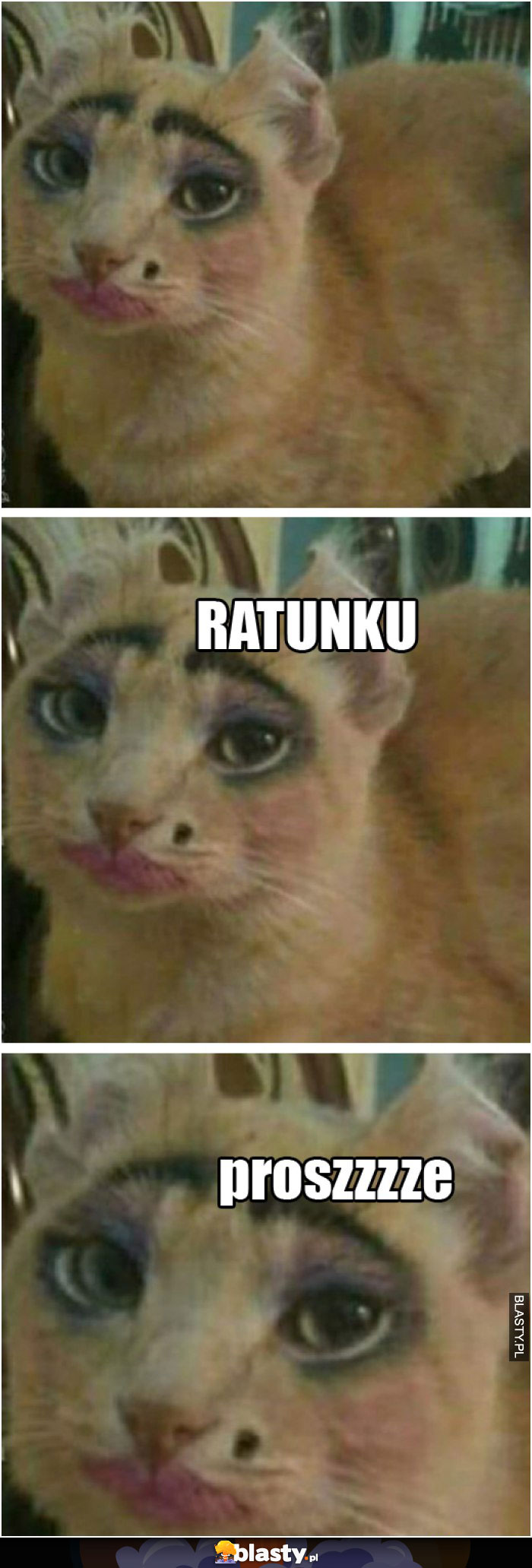 Ratunku, proszzze