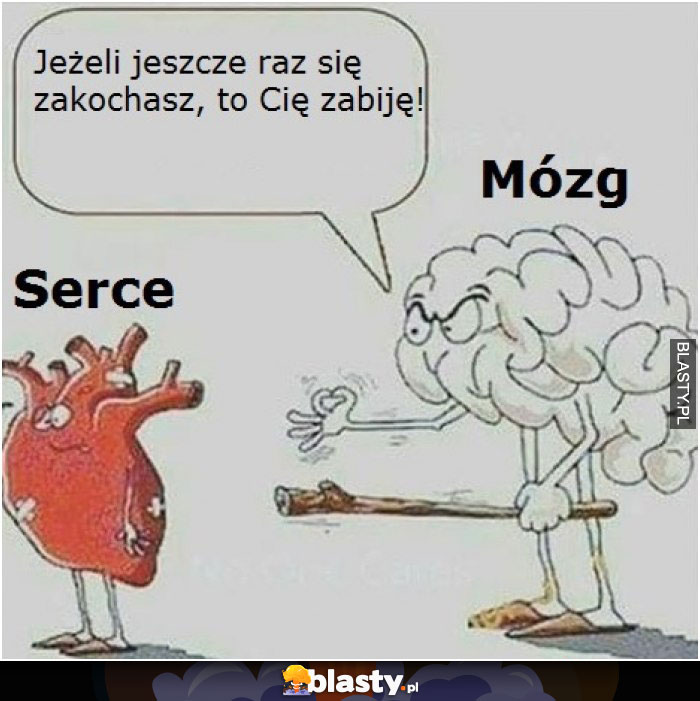 Serce i mózg