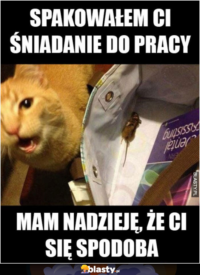 Spakowałem ci śniadanie do pracy