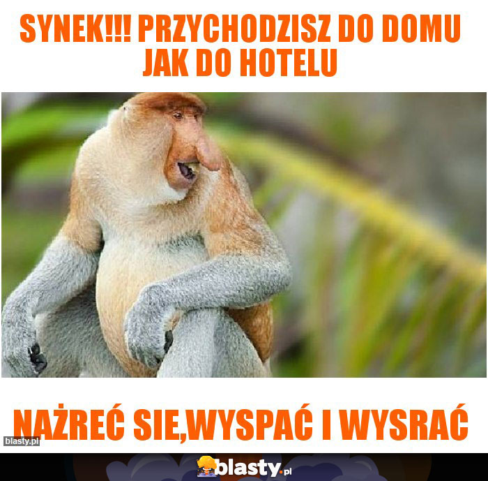 Synek!!! Przychodzisz do domu jak do hotelu
