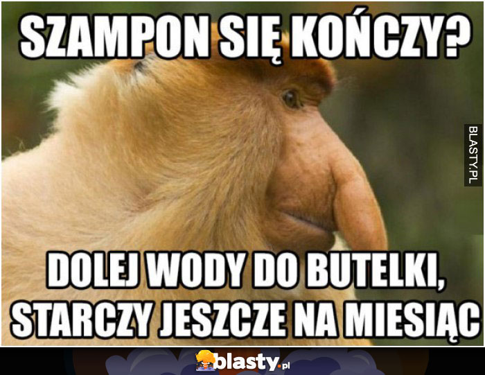 Szampon się kończy