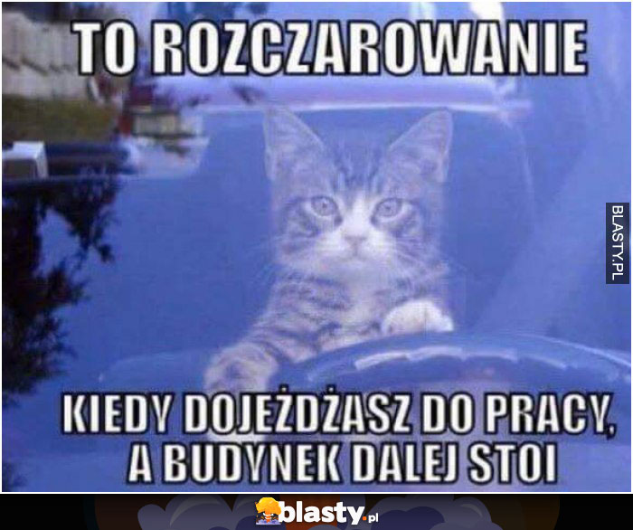 te rozczarowanie