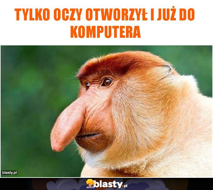 Tylko oczy otworzył i już do komputera