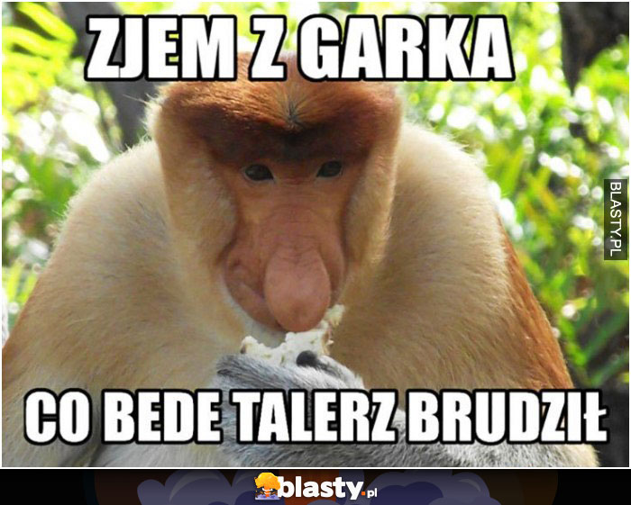 zjem z garka, co bede talerz brudził