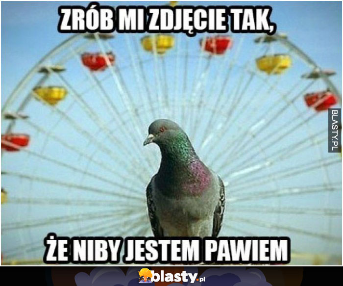 Zrób mi zdjęcie tak, że niby jestem pawiem