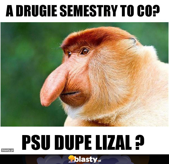 A DRUGIE SEMESTRY TO CO?