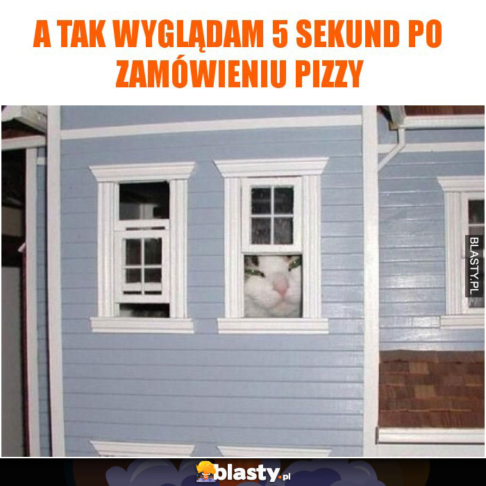 A tak wyglądam 5 sekund po zamówieniu pizzy