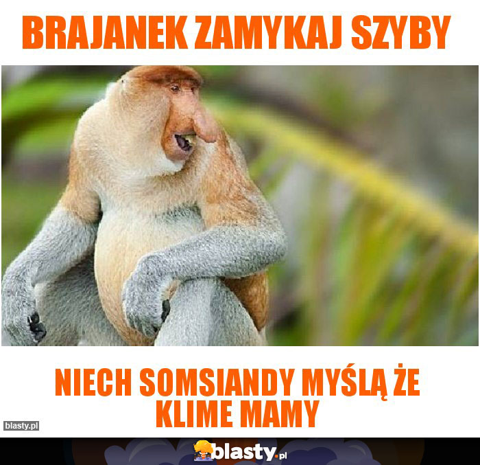 Brajanek zamykaj szyby