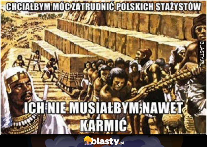 Chciałbym móc zatrudnić polskich stażystów