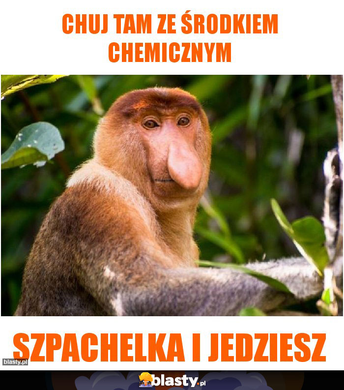 CHUJ TAM ZE ŚRODKIEM CHEMICZNYM