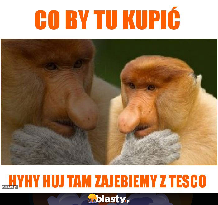 Co by tu kupić