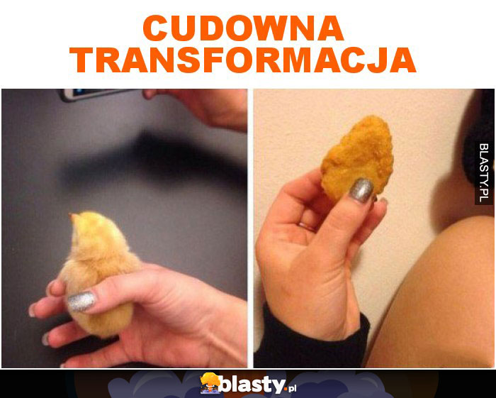 Cudowna transformacja