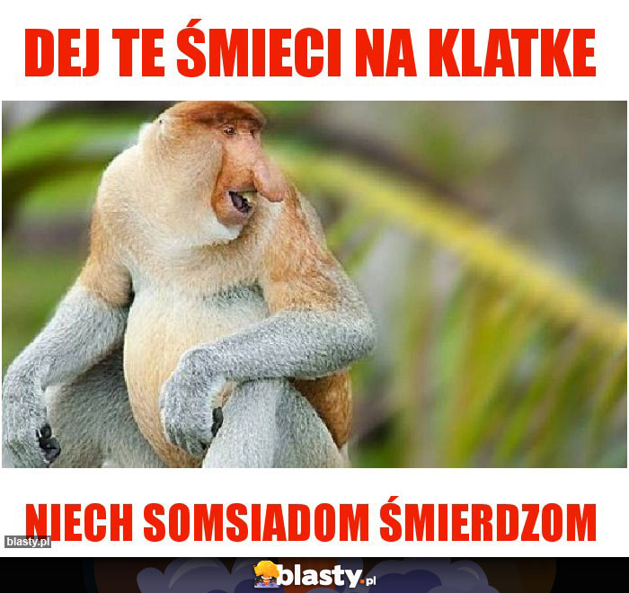 Dej te śmieci na klatke