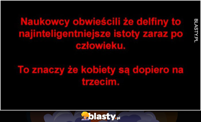 Delfiny są inteligentne