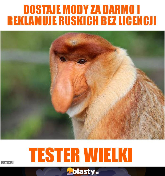 Dostaje mody za darmo i reklamuje ruskich bez licencji