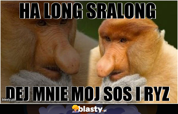 Ha long sralong