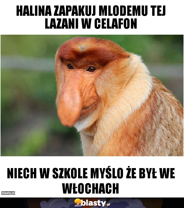 halina zapakuj mlodemu tej lazani w celafon