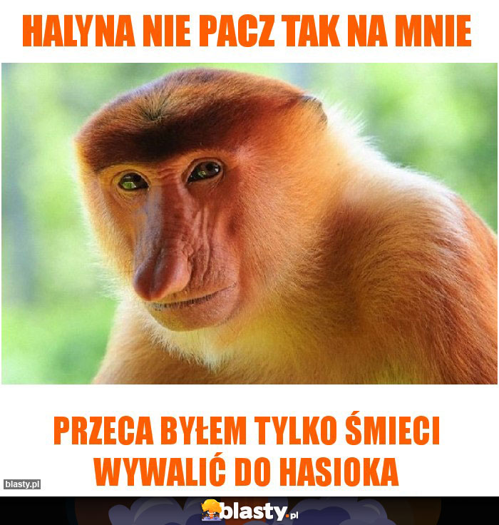 halyna nie pacz tak na mnie