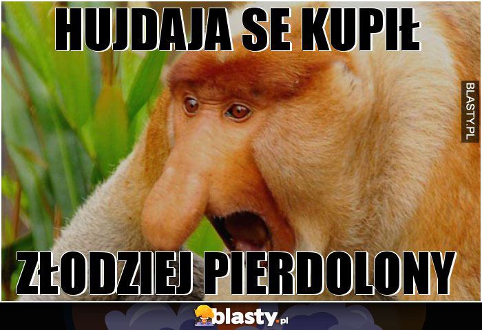 HUJDAJA SE KUPIŁ