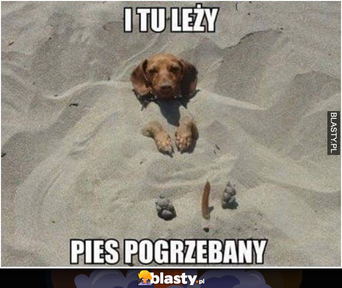 I tu leży pies pogrzebany