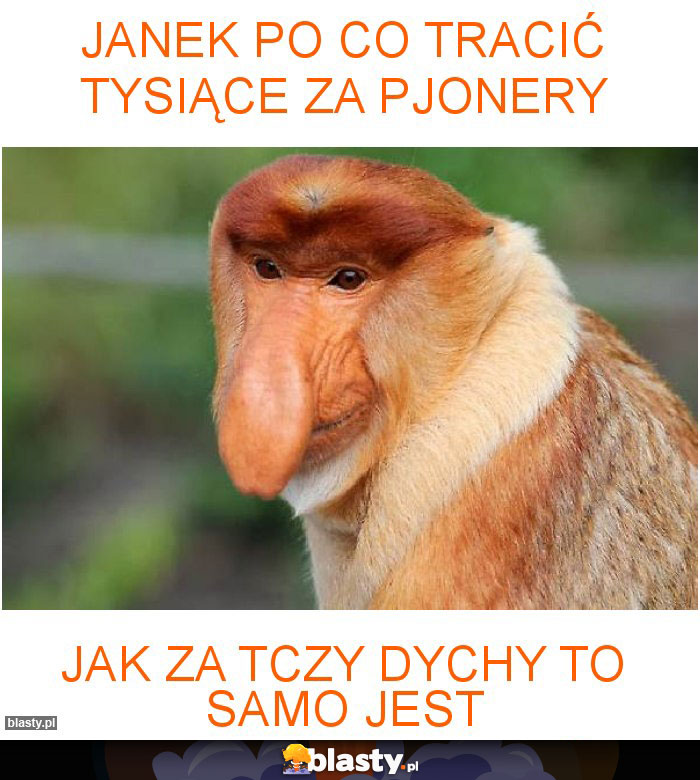 Janek po co tracić tysiące za pjonery