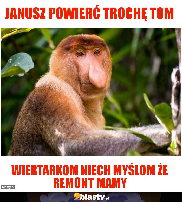 Janusz powierć trochę tom