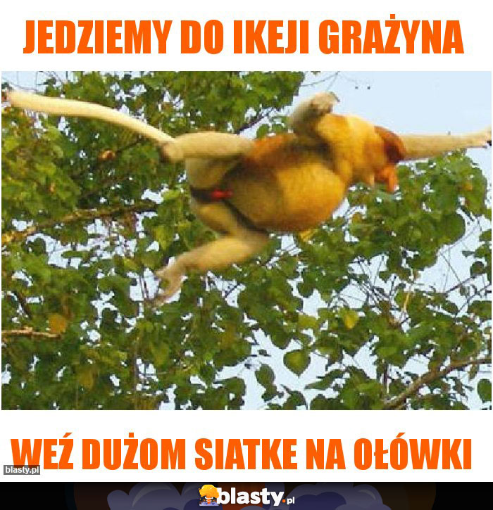 Jedziemy do ikeji Grażyna
