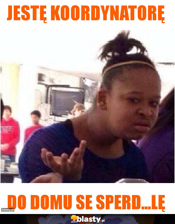 Jestę koordynatorę