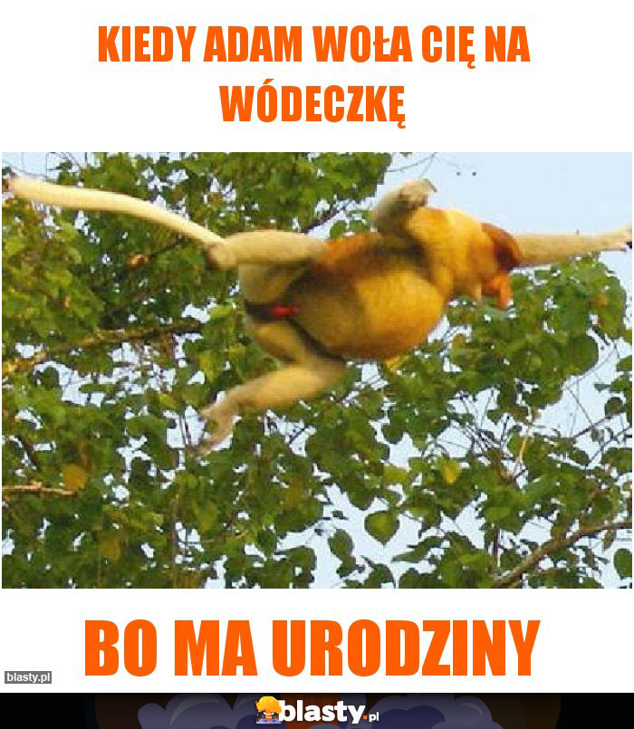 Kiedy Adam woła cię na wódeczkę