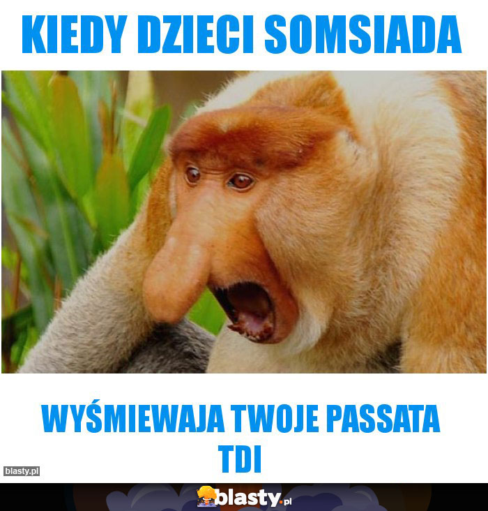 Kiedy dzieci somsiada
