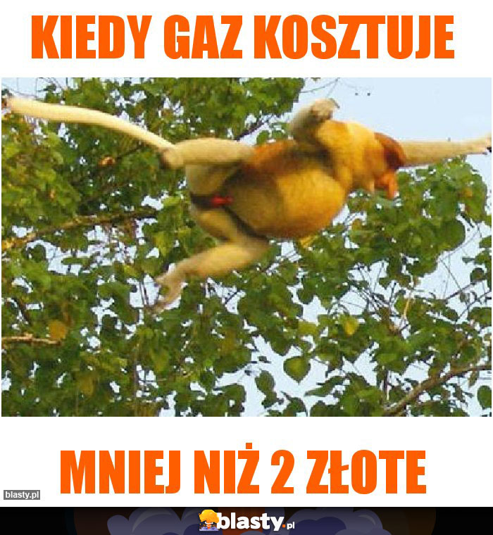 Kiedy gaz kosztuje