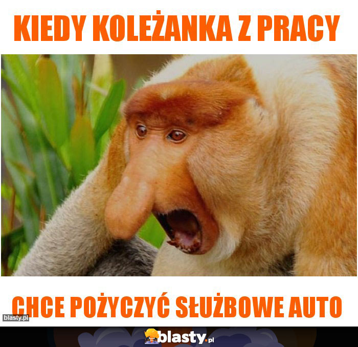Kiedy koleżanka z pracy