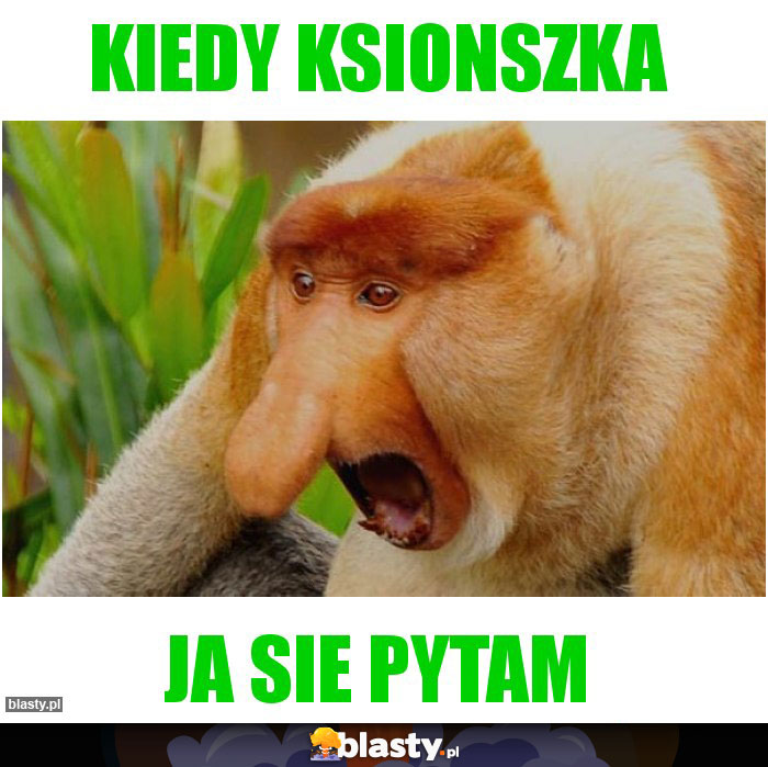 KIEDY KSIONSZKA