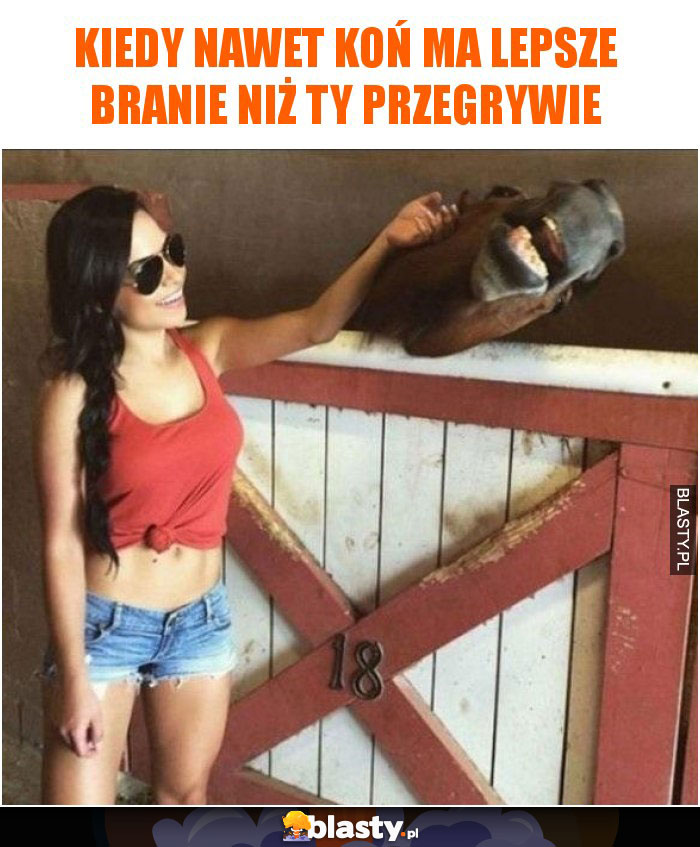 Kiedy nawet koń ma lepsze branie niż Ty przegrywie