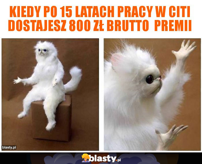 Kiedy po 15 latach pracy w citi dostajesz 800 zł brutto  premii