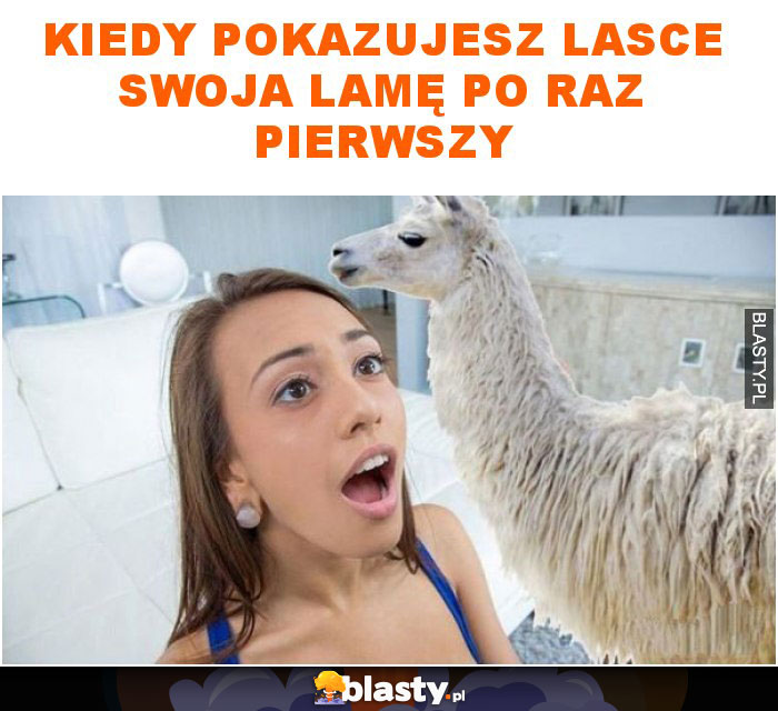 Kiedy pokazujesz lasce swoja lamę po raz pierwszy