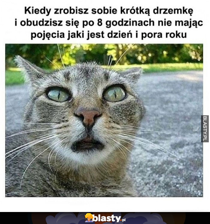 Kiedy robisz sobie krótka drzemkę