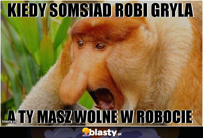 KIEDY SOMSIAD ROBI GRYLA