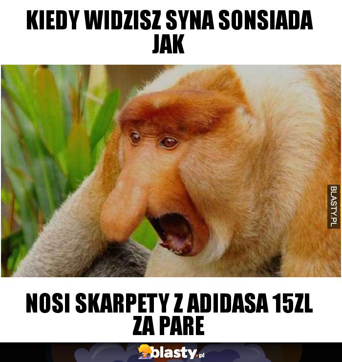 kiedy widzisz syna sonsiada jak