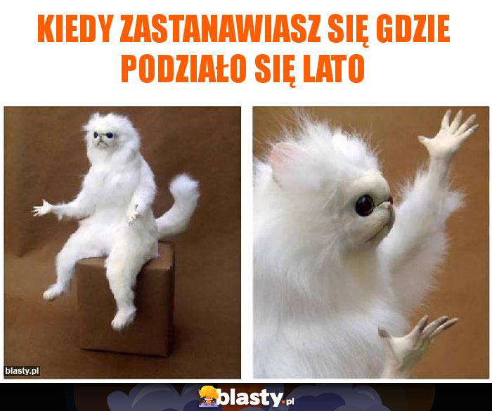 Kiedy zastanawiasz się gdzie podziało się lato