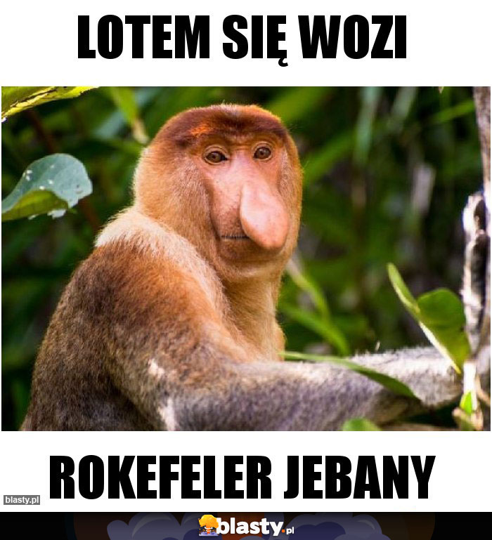 Lotem się wozi