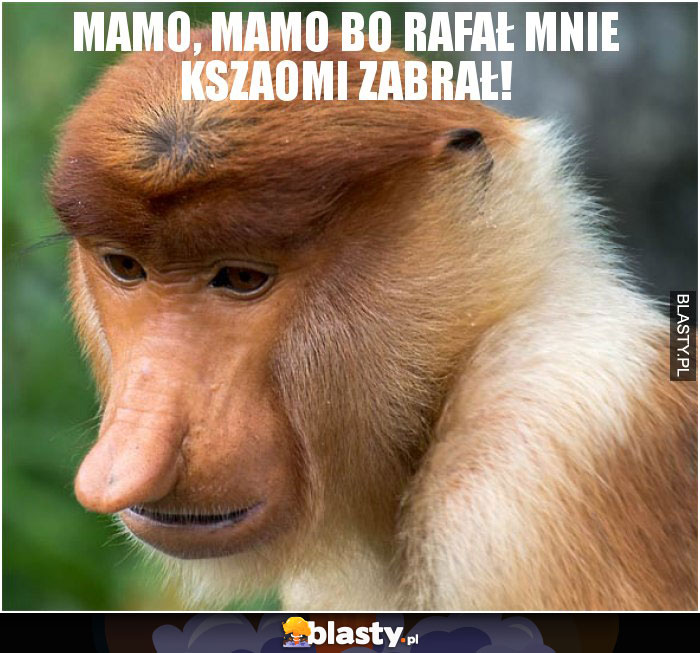 Mamo, mamo bo Rafał mnie kszaomi zabrał!