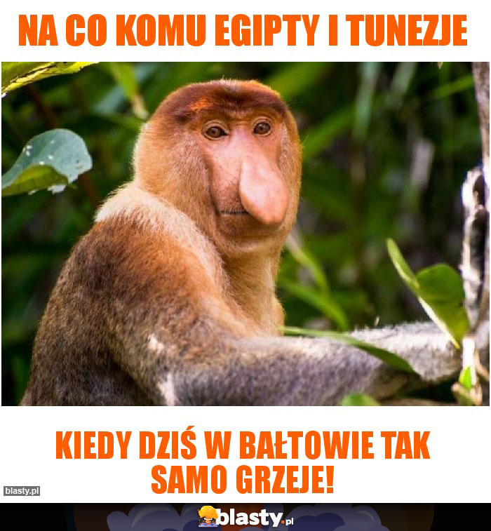 NA CO KOMU EGIPTY I TUNEZJE